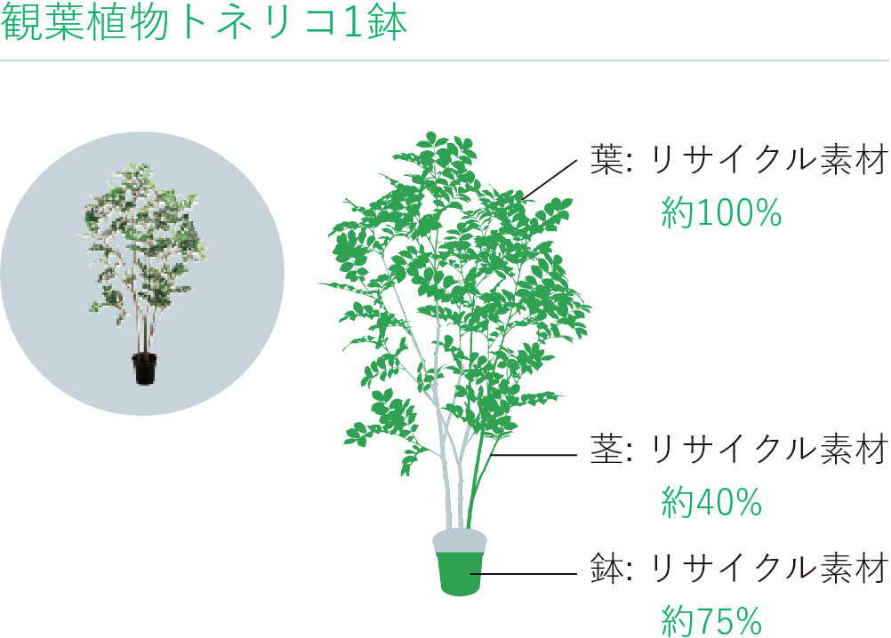 �ϗt�A���g�l���R1�� �t: ���T�C�N���f�� ��100% �s: ���T�C�N���f�� ��40% ��: ���T�C�N���f�� ��75%