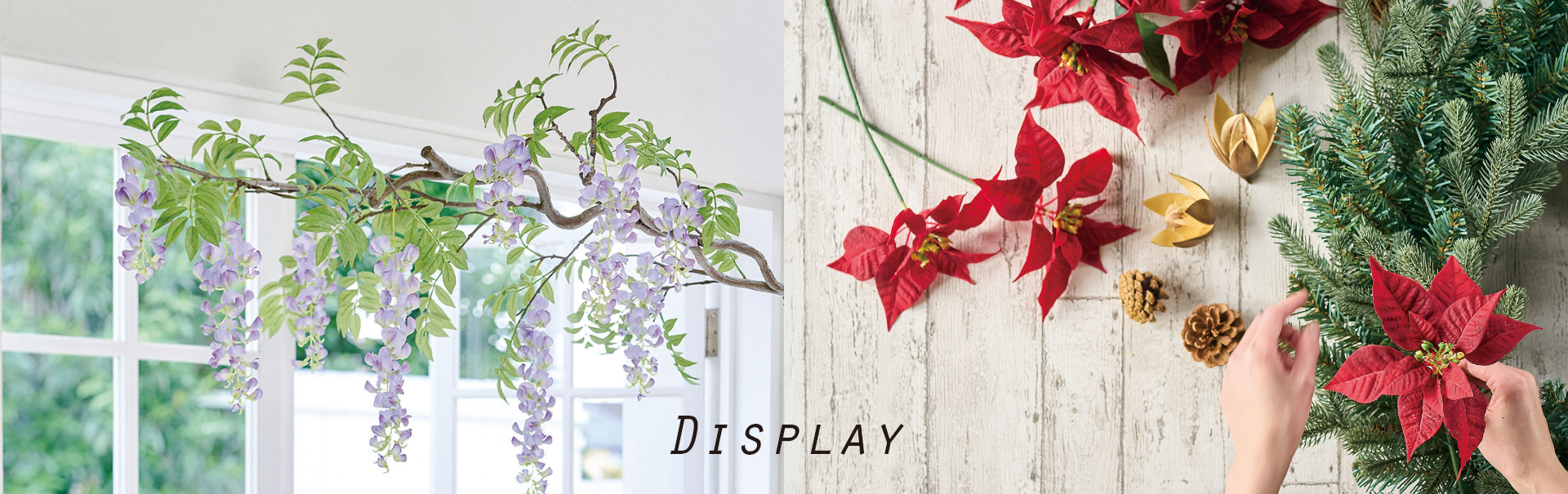 DISPLAY